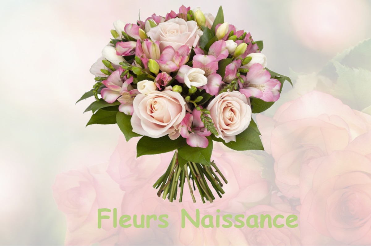 fleurs naissance FLEUREY-LES-SAINT-LOUP